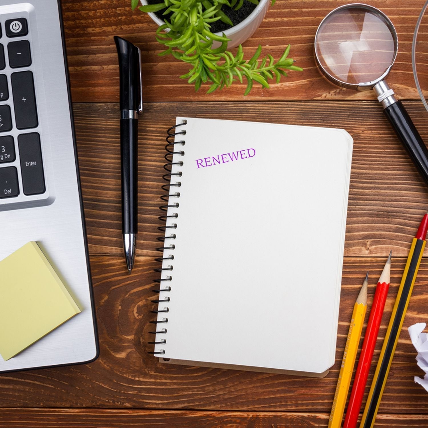 Self Inking Renewed Stamp marking RENEWED on a notebook, surrounded by a laptop, pen, sticky notes, plant, magnifying glass, and pencils.