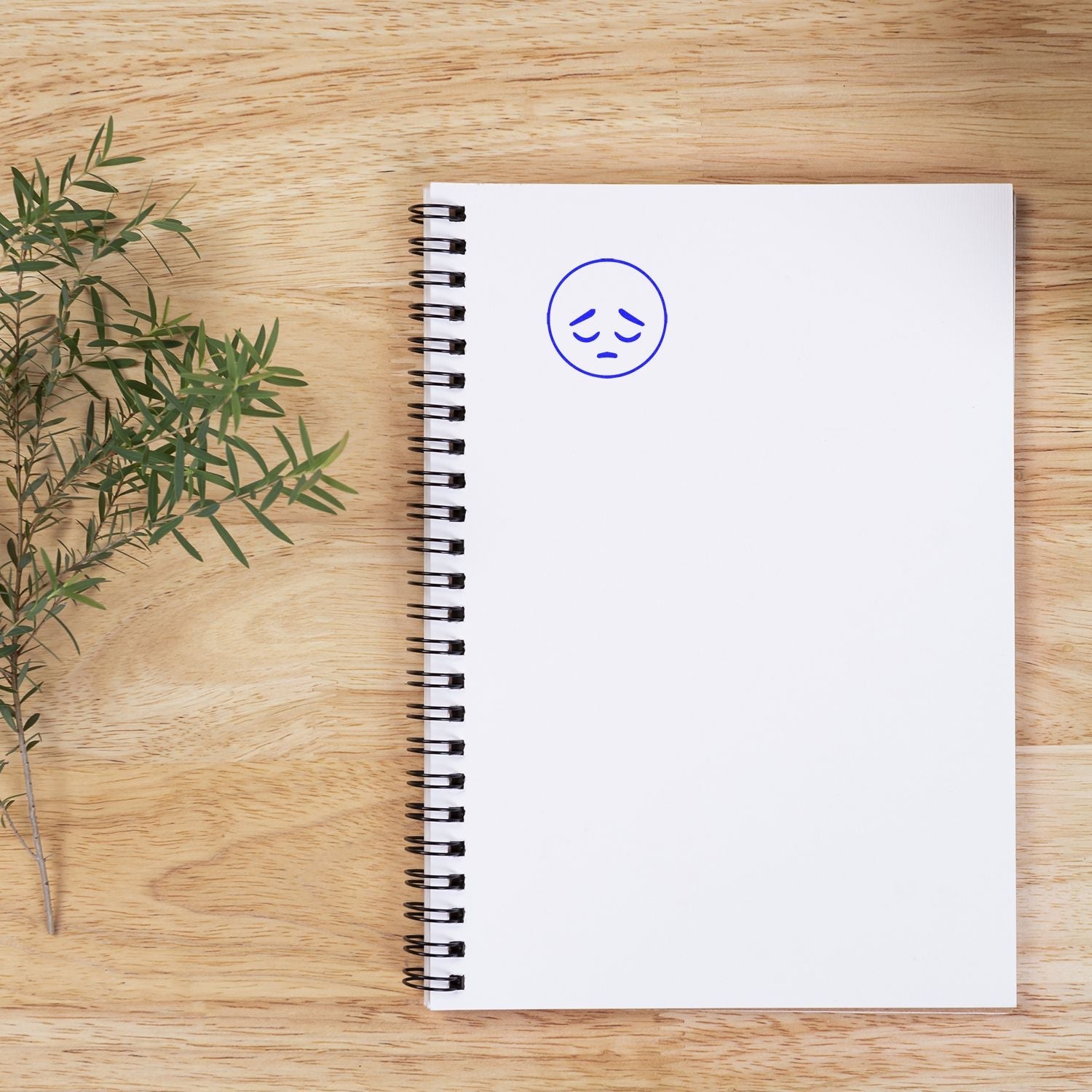 Self Inking Round Sad Smiley Stamp in blue ink on a white spiral notebook placed on a wooden surface next to a small green plant.