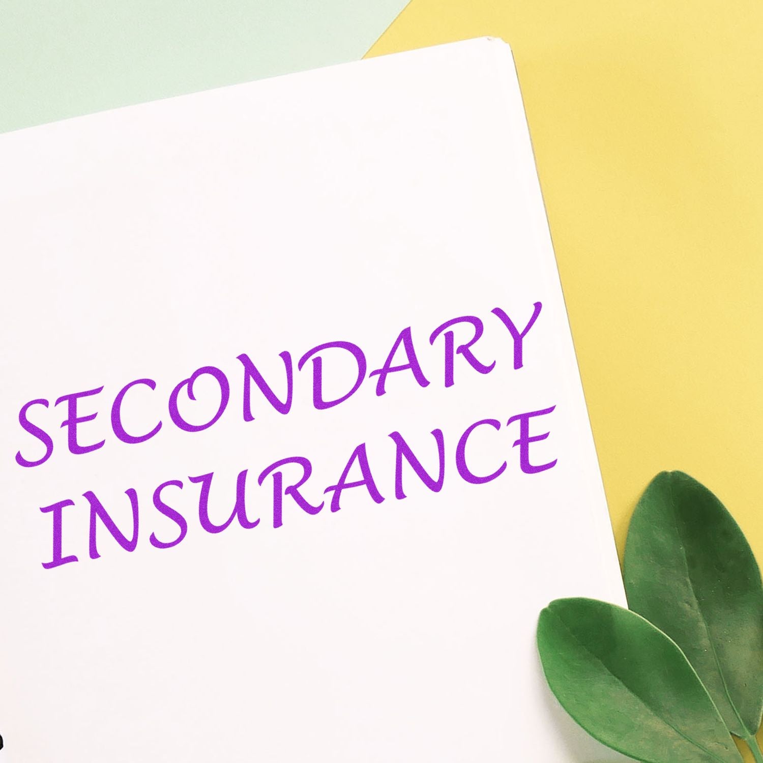 Document stamped with 'SECONDARY INSURANCE' in purple ink using the Large Pre-Inked Secondary Insurance Stamp, next to green leaves.