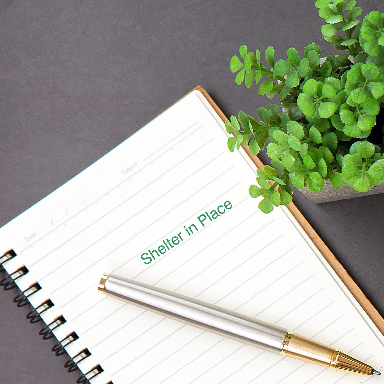 Large Shelter in Place rubber stamp on an open notebook with a pen and a potted plant in the background.