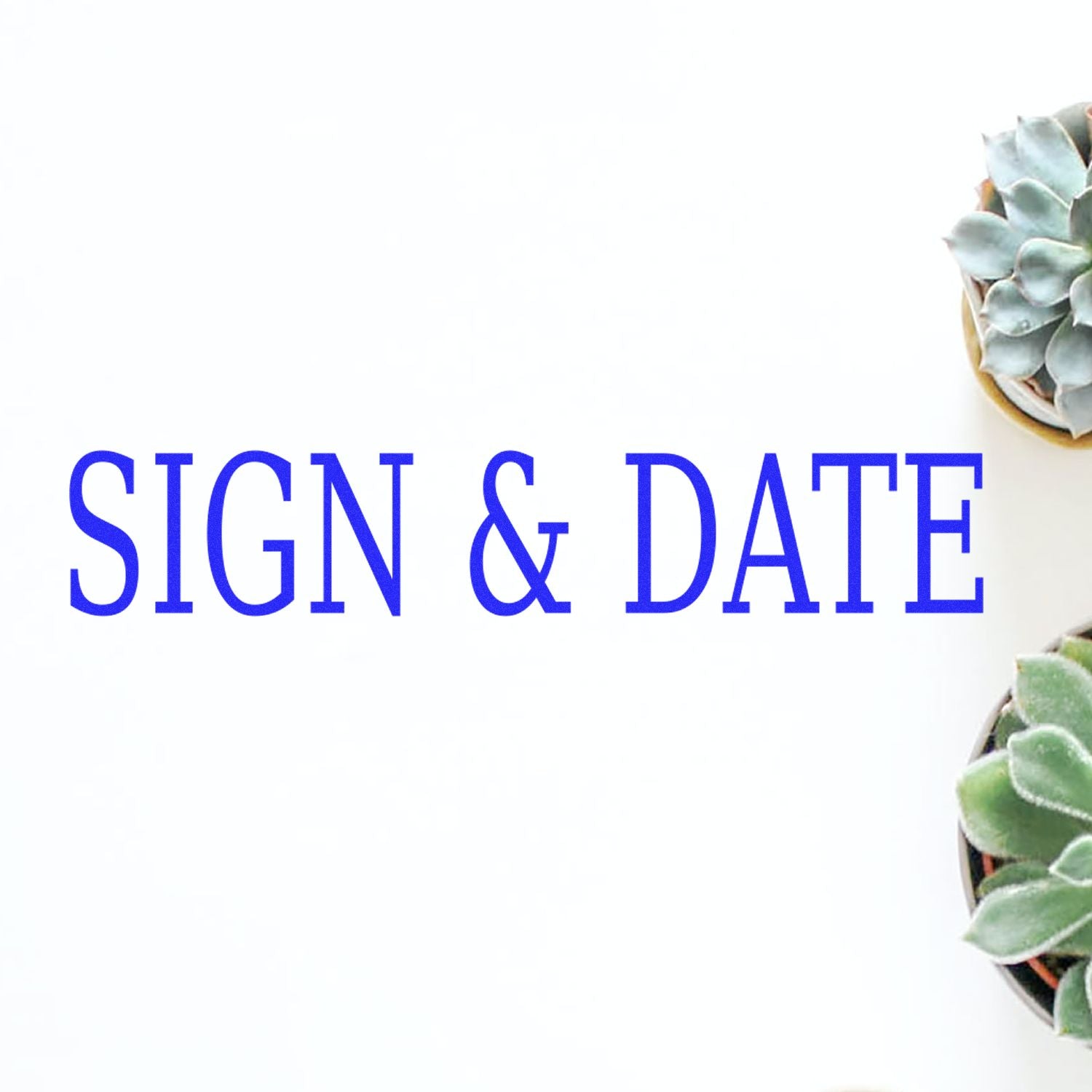 Self Inking Sign & Date Stamp in use, with 'SIGN & DATE' text stamped in blue ink on white paper, surrounded by small potted succulents.