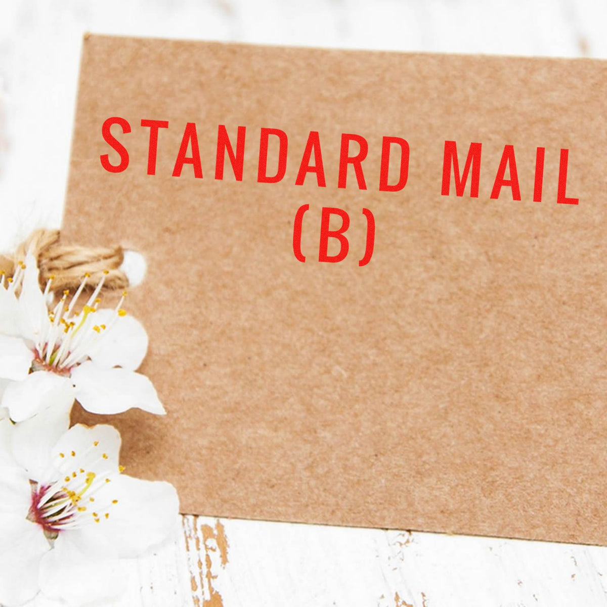 Large Standard Mail (B) Rubber Stamp In Use Photo