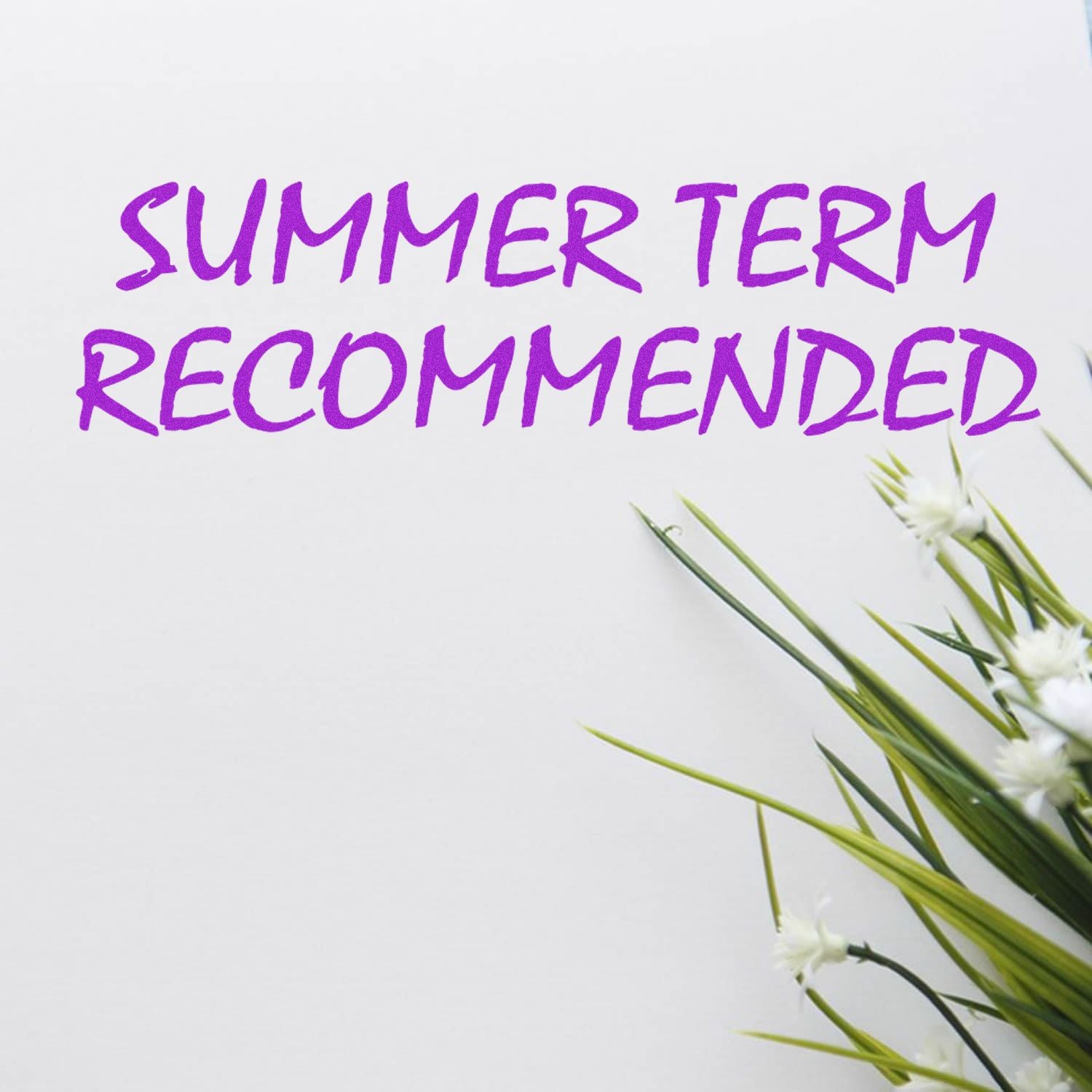 Summer Term Recommended rubber stamp in purple ink on white paper, next to green grass and white flowers.