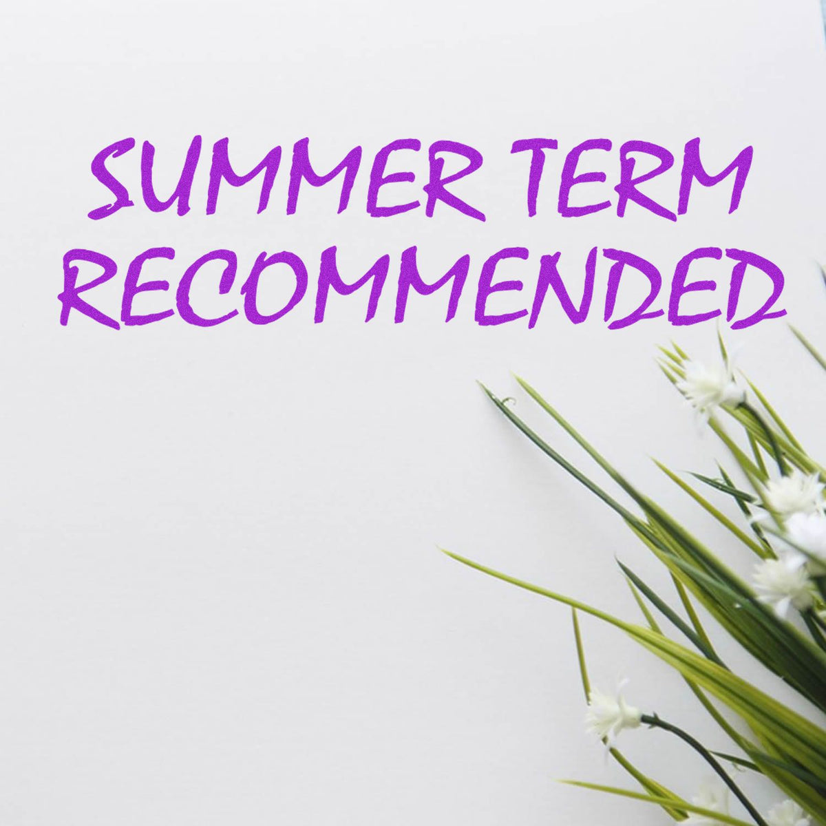 Large Self-Inking Summer Term Recommended Stamp In Use