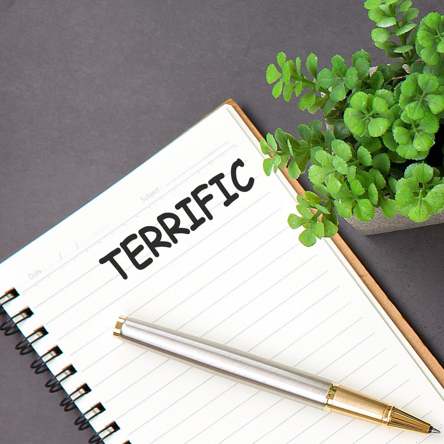 Notebook with 'TERRIFIC' stamped on a page, a pen, and a potted plant beside it, showcasing a Terrific Rubber Stamp.