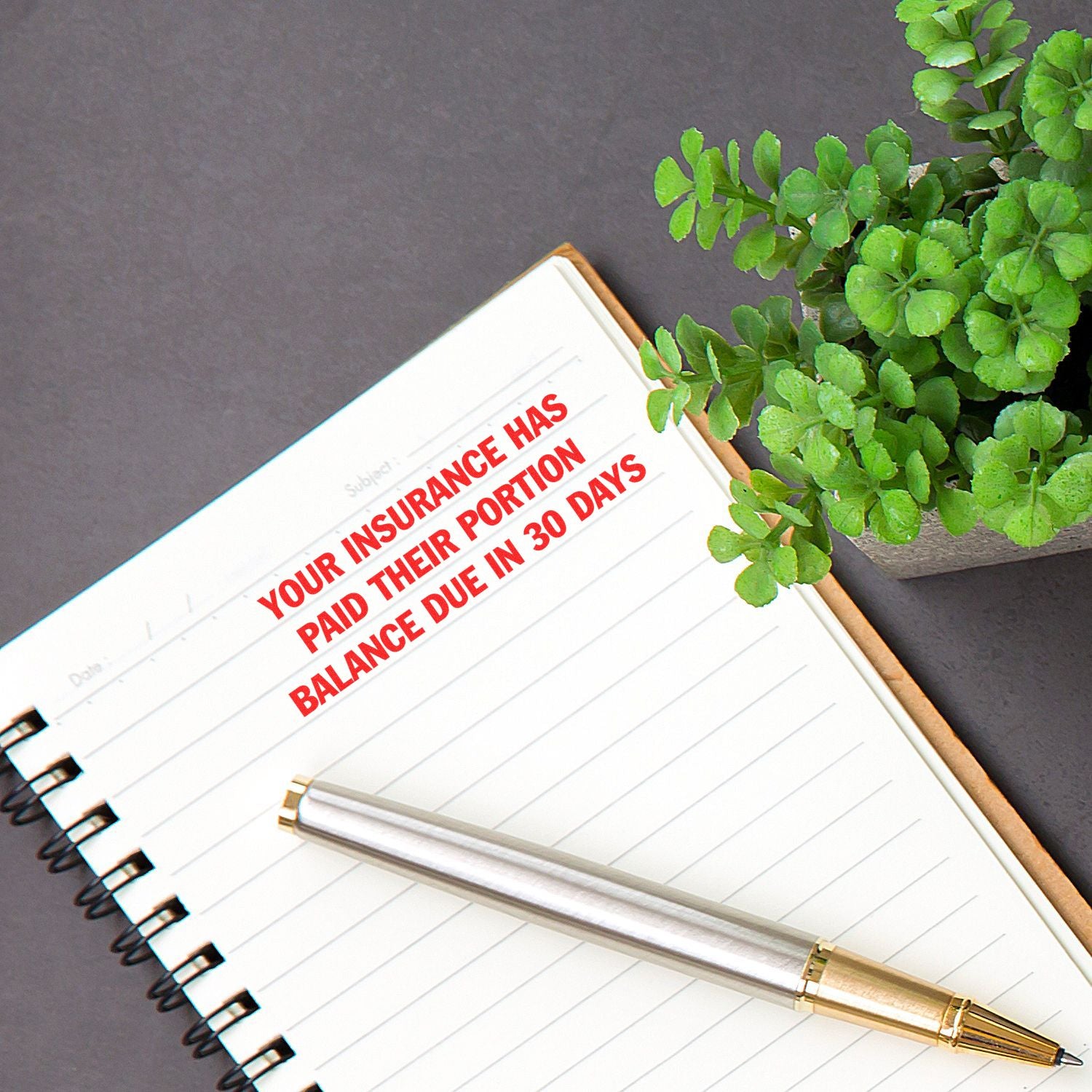 Notebook with 'Your Insurance has Paid their Portion' rubber stamp, pen, and potted plant on a gray surface.